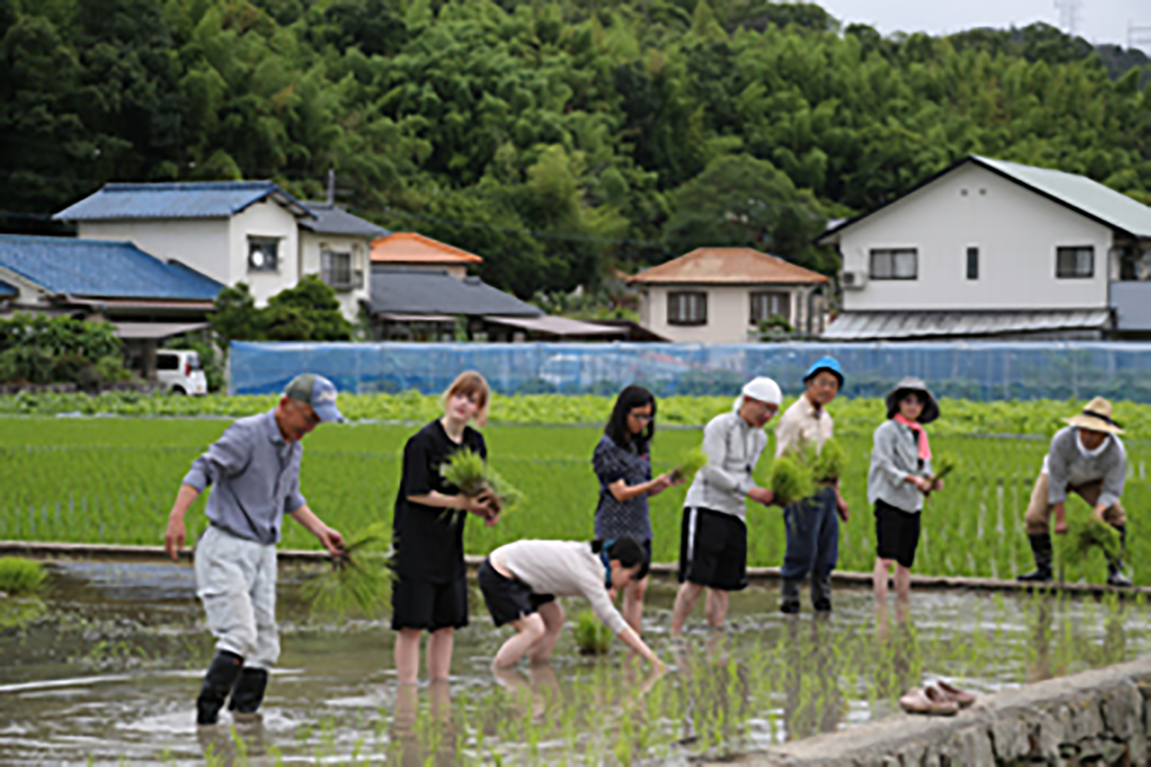 50,000円あればできること