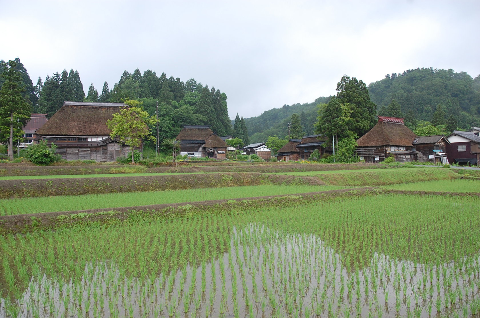 日本民家再生協会