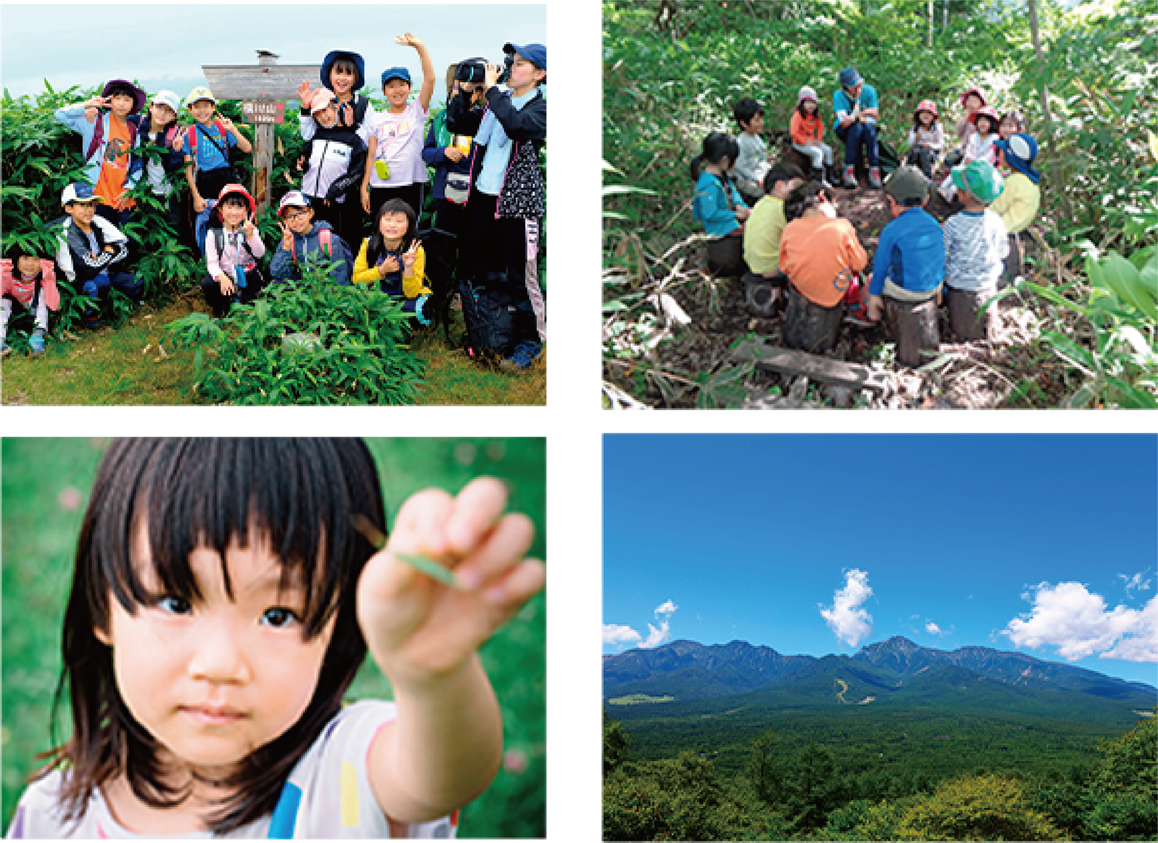 支援いただくと可能になること