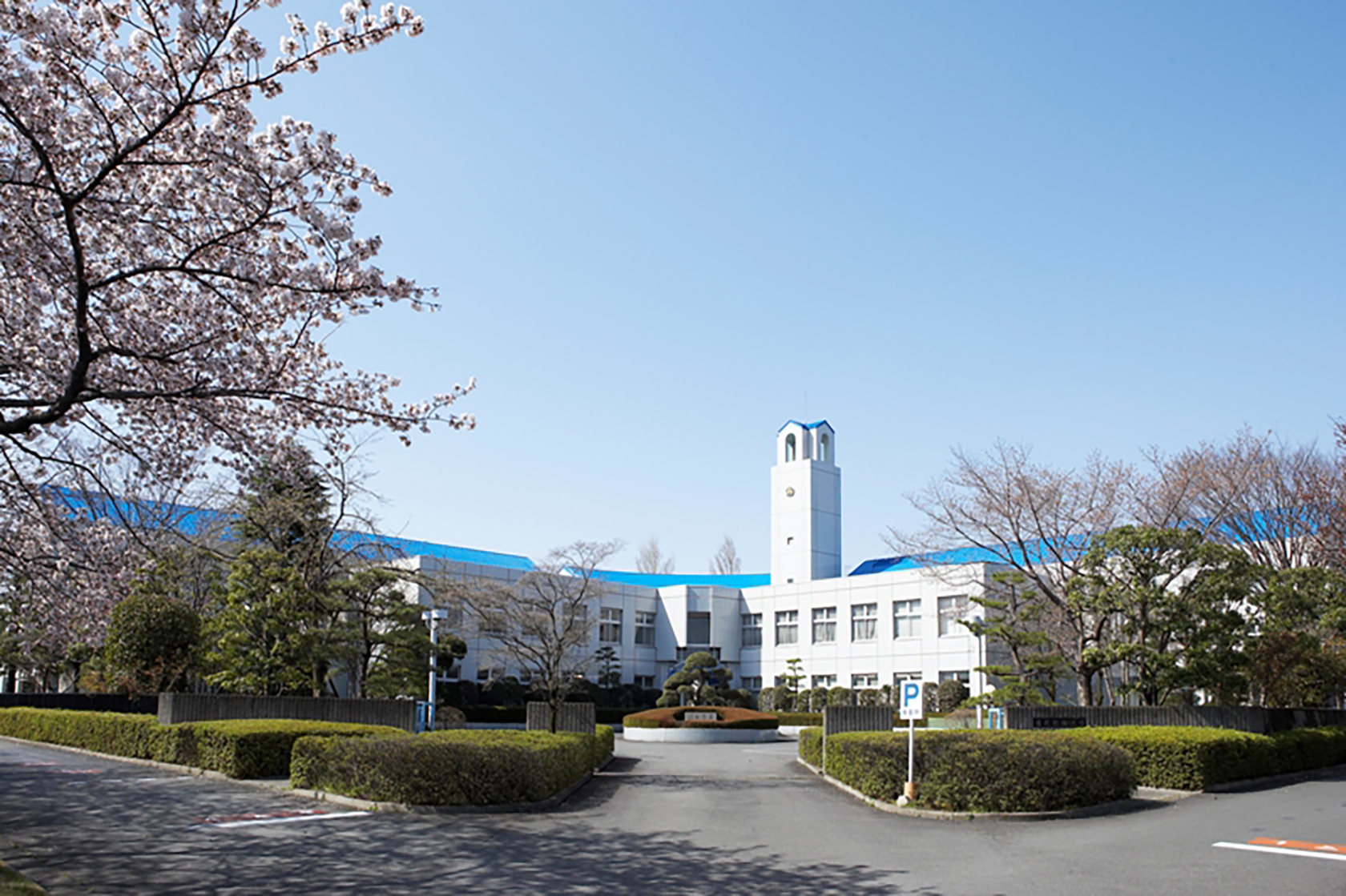 育英大学 育英短期大学
