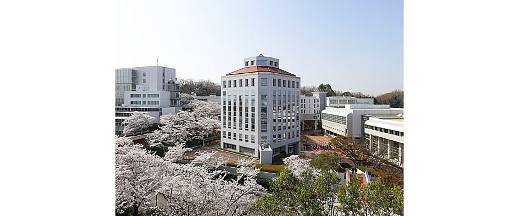 椙山女学園大学古本募金