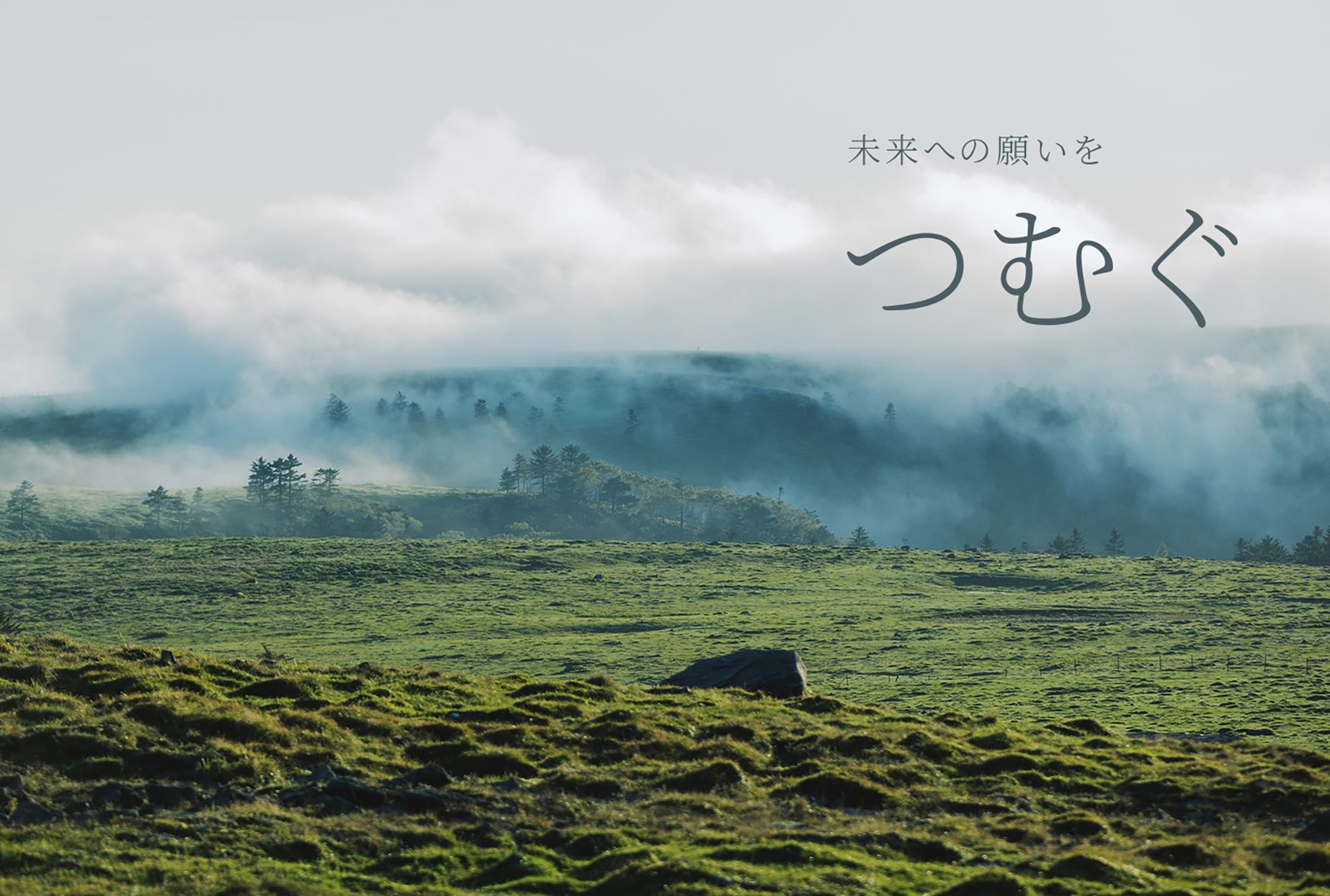 長野県みらい基金